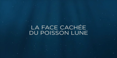 La face cachée du poisson-lune