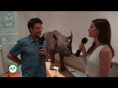 Exposition Specimens 24 - null - carac - TV Suisse en direct et en replay