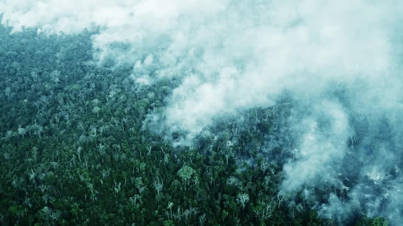 Vignette du film L'or vert