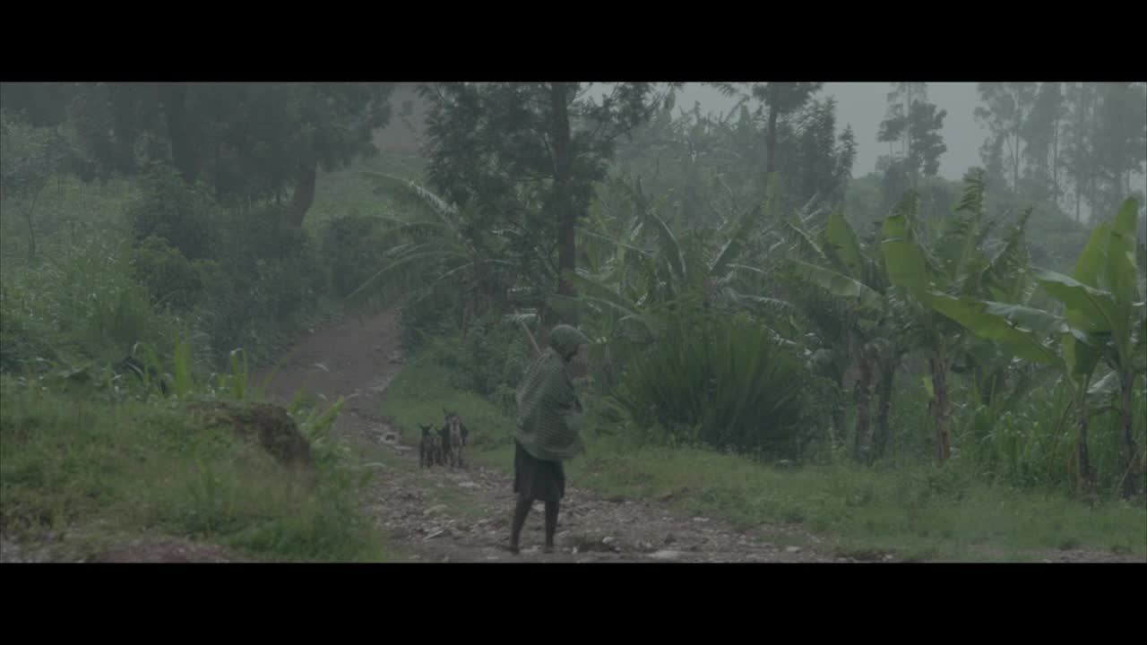 Vignette du film Inkotanyi