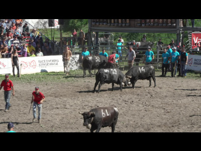 Race d'Herens : Un patrimoine exceptionnel - null - carac - TV Suisse en direct et en replay