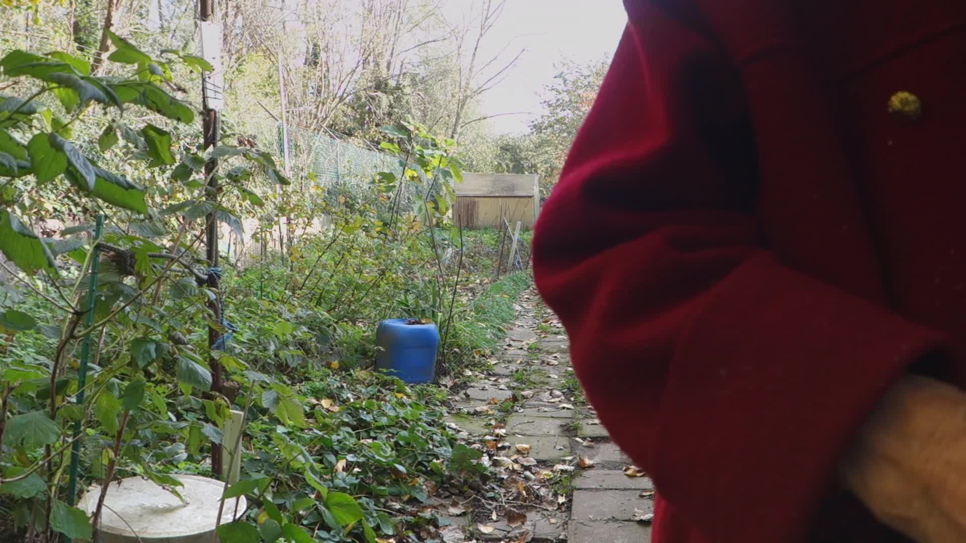 Vignette du film Bruissellements