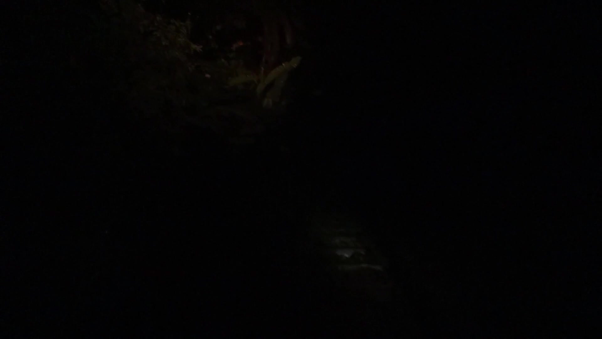 Vignette du film Les oeufs aussi ont un angle