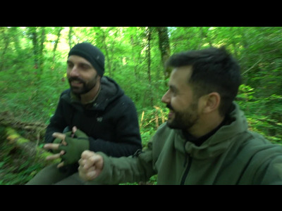 Animalis - le blaireau