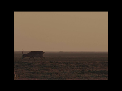 5000 ans de murmures